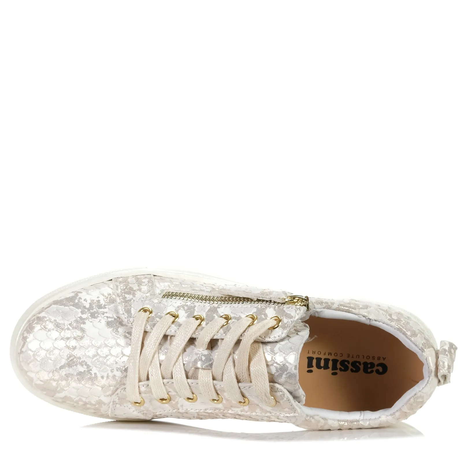 Cassini Moscow Gold/Cream Snake